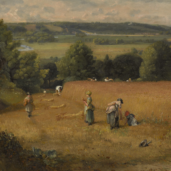 THE WHEAT FIELD